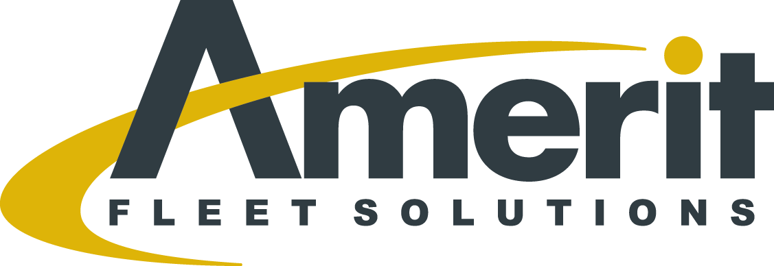 Amerit Fleet Solutions
